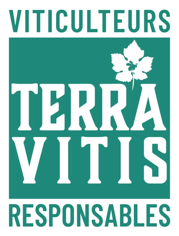 logo terra-vitis